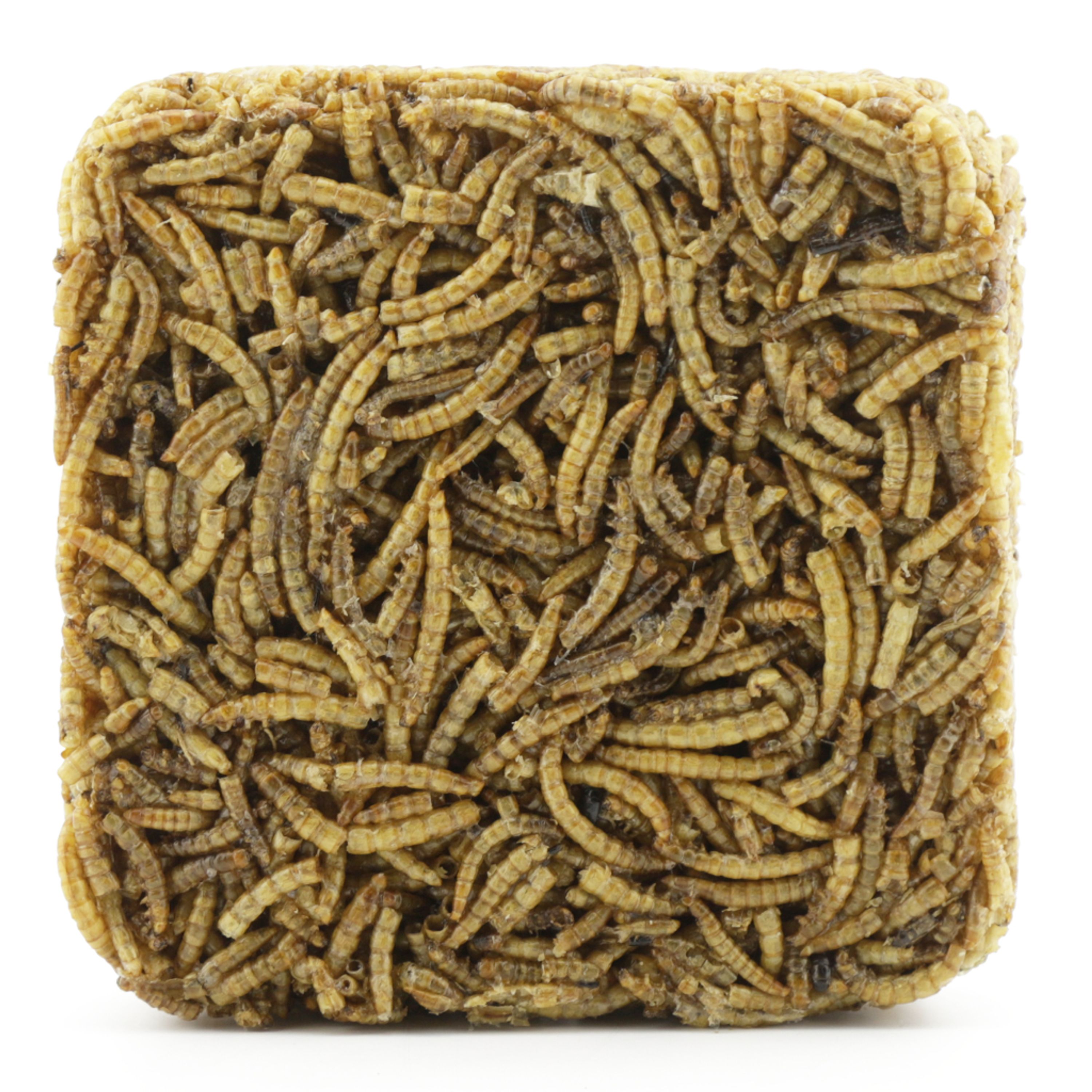 Energieblock aus getrockneten Mehlwürmern 90 g | Vogelfutter | CJ Wildlife